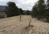 Terreny no urbanitzable en venda a la España, Tibi, ref.: TR112853 foto