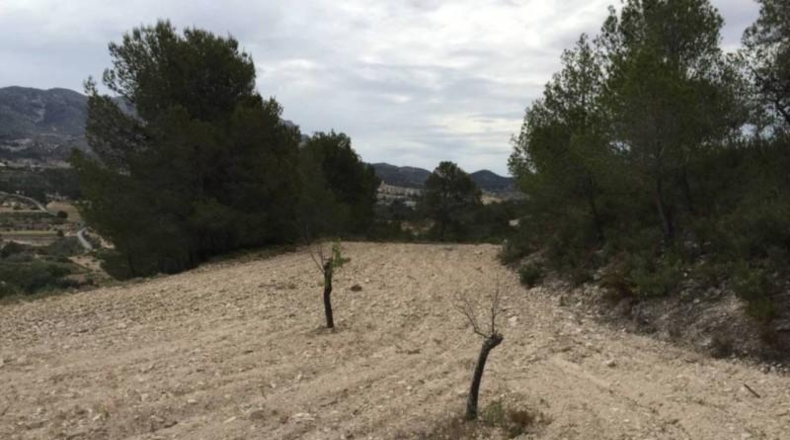Alicante - Tibi - 23417m2