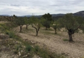 Terreny no urbanitzable en venda a la España, Tibi, ref.: TR112853 foto