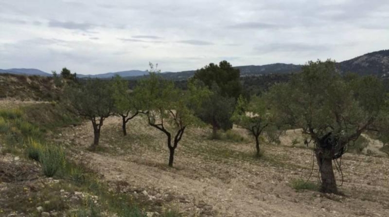Alicante - Tibi - 23417m2
