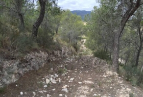 Foto 10