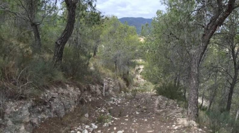 Alicante - Tibi - 23417m2