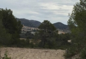 Terreny no urbanitzable en venda a la España, Tibi, ref.: TR112853 foto