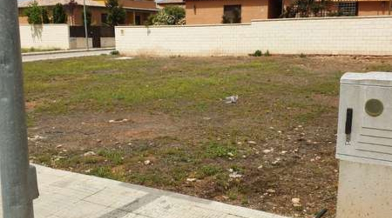 Ciudad Real - Valdepeñas - 500m2