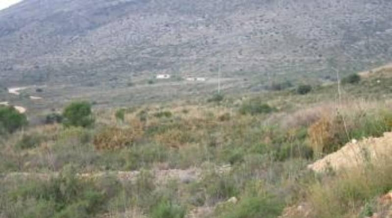 Alicante - Benisa - 7500m2