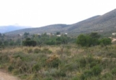 Terreny no urbanitzable en venda a la España, Benissa, ref.: TR113640 foto