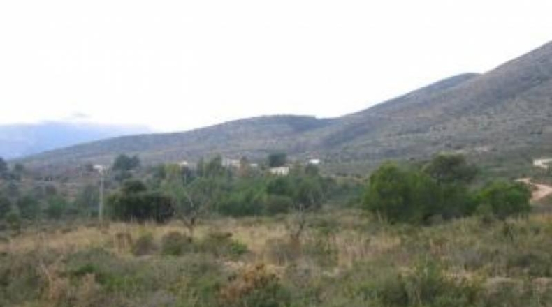 Alicante - Benisa - 7500m2