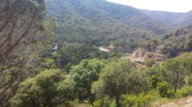 Gerona - Santa Cristina d'Aro - 560m2