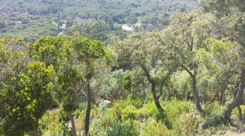 Gerona - Santa Cristina d'Aro - 560m2