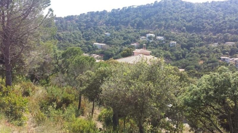 Gerona - Santa Cristina d'Aro - 560m2