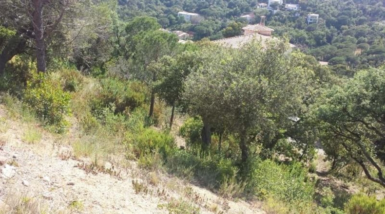 Gerona - Santa Cristina d'Aro - 560m2