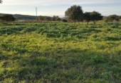 Terreny no urbanitzable en venda a la España, Vejer de la Frontera, ref.: TR114201 foto