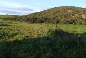 Vejer de la Frontera 10885&nbsp;m² 