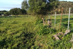 Vejer de la Frontera 10885&nbsp;m² 