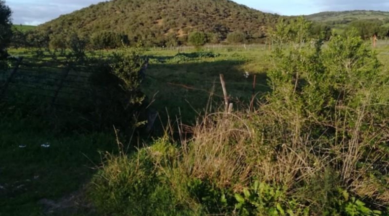 Cádiz - Vejer de la Frontera - 10885m2