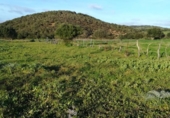 Terreny no urbanitzable en venda a la España, Vejer de la Frontera, ref.: TR114201 foto