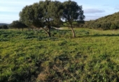 Terreny no urbanitzable en venda a la España, Vejer de la Frontera, ref.: TR114201 foto