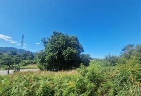 Gondomar 1000&nbsp;m²