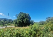 Land suitable for development for sale on España, Gondomar, ref: TR123564 photo