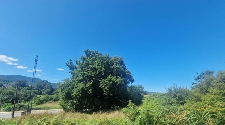 Pontevedra - Gondomar - 1000m2
