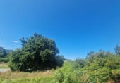 Land suitable for development for sale on España, Gondomar, ref: TR123564 photo
