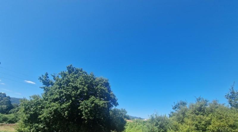 Pontevedra - Gondomar - 1000m2