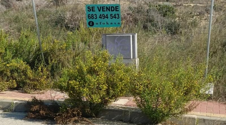 Múrcia - Molina de Segura - 800m2
