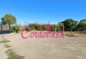 Земля на продажу у города Alcolea Фото