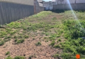Sòl urbà en venda a la España, Amposta, ref.: TR120177 foto
