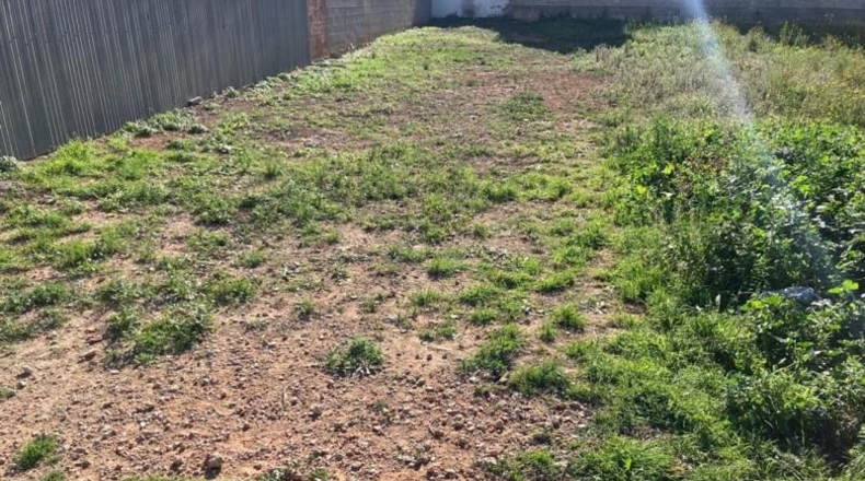 Tarragona - Amposta - 215m2