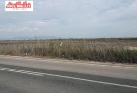 Dolores 40000&nbsp;m² 