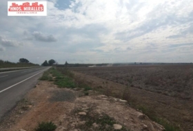 Dolores 40000&nbsp;m² 
