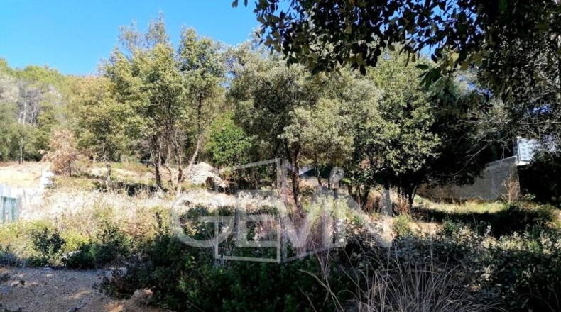 Barcelona - Caldes de Montbui - 1090m2