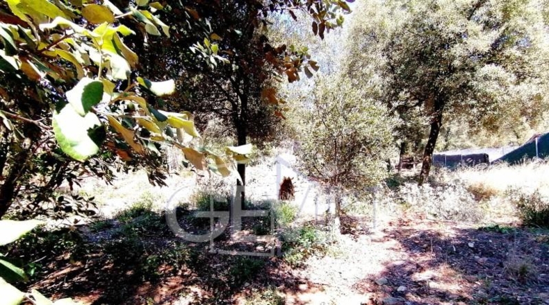 Barcelona - Caldes de Montbui - 1090m2