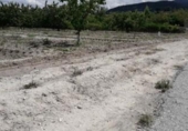 Terreny no urbanitzable en venda a la España, Moratalla, ref.: TR143953 foto