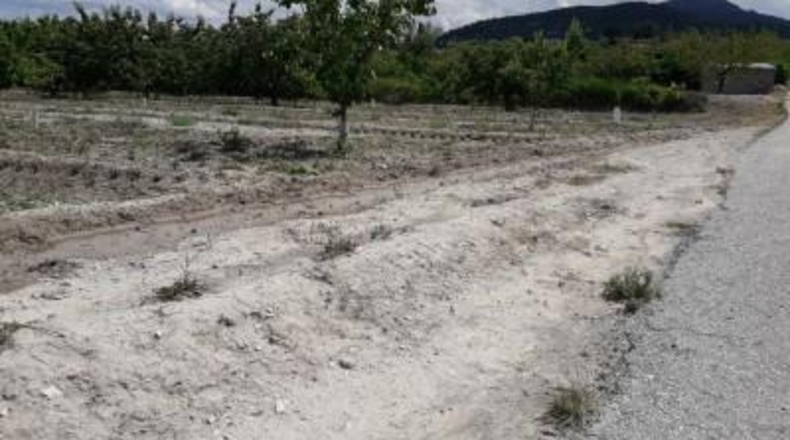 Murcia - Moratalla - 12962m2