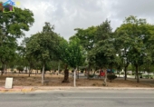 Land suitable for development for sale on España, Ceutí, ref: TR118101 photo