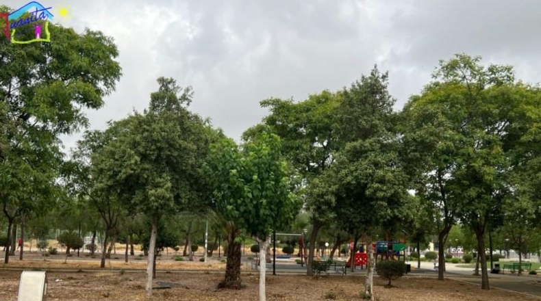Múrcia - Ceutí - 220m2