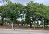 Land suitable for development for sale on España, Ceutí, ref: TR118101 photo