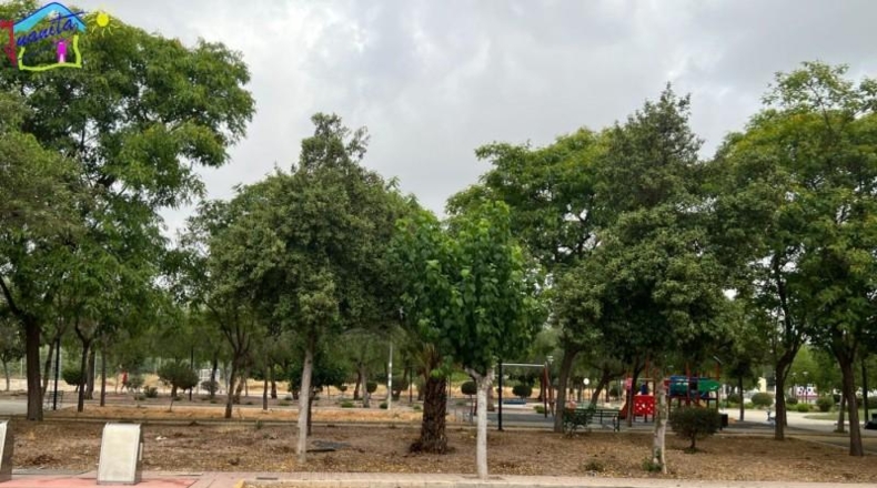 Múrcia - Ceutí - 220m2