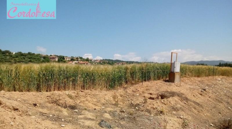 Córdoba - Córdoba - 15000m2