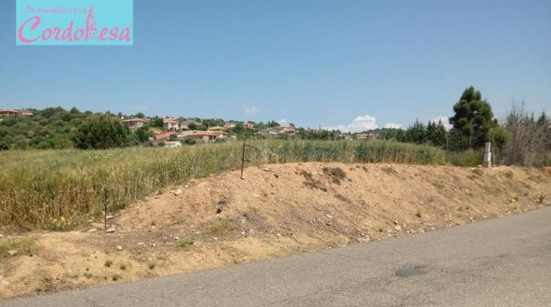 Córdoba - Córdoba - 15000m2