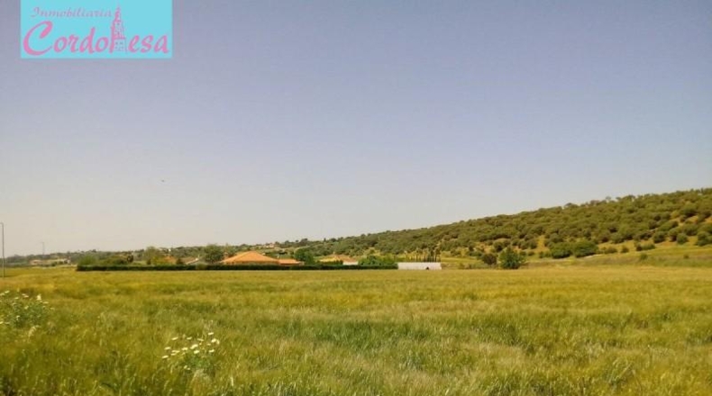 Córdoba - Córdoba - 15000m2