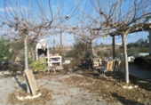 Finca rústica en venda a la España, Calasparra, ref.: TR297947 foto
