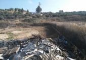 Finca rústica en venda a la España, Calasparra, ref.: TR297947 foto