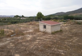 Foto 10