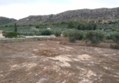 Terreny no urbanitzable en venda a la España, Calasparra, ref.: TR119483 foto