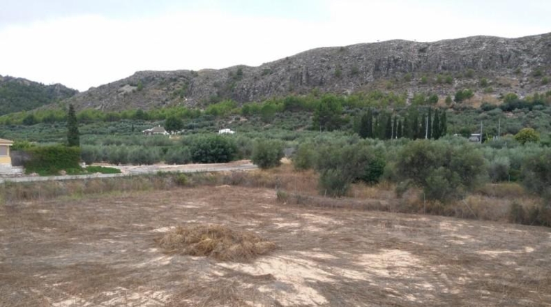 Múrcia - Calasparra - 5508m2