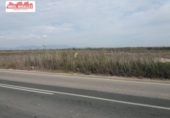 Terreny no urbanitzable en venda a la España, Elx, ref.: TR116360 foto