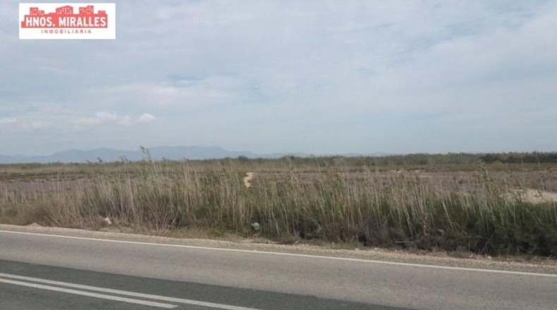 Alicante - Elche - 40000m2
